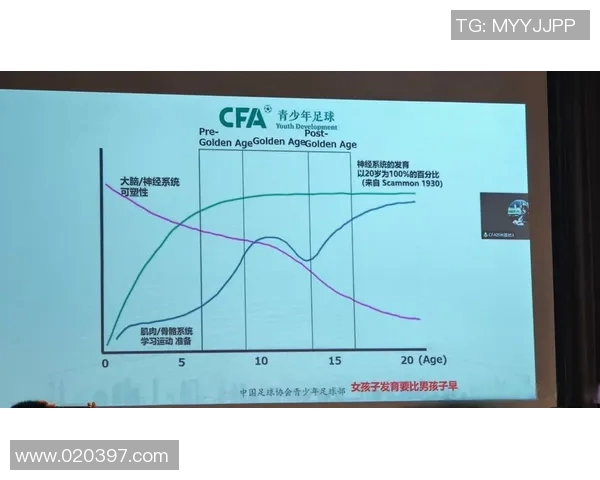 体育数据模型报告发布
