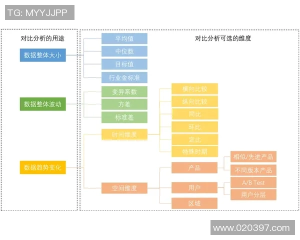 球员评分与数据对比分析
